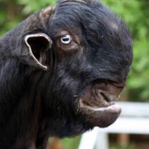 Meet your Posher, Jonathan